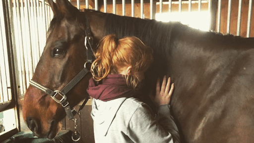 Ostéopathie animale : Bien-être et flexibilité pour vos compagnons 🐾✨