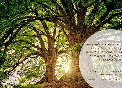 Relaxation et transformation par l'hypnose alternative