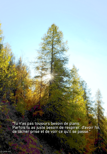 Sérénité à domicile pour votre bien-être total