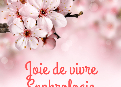 Éveillez votre sérénité avec notre approche holistique de la sophrologie et du bien-être