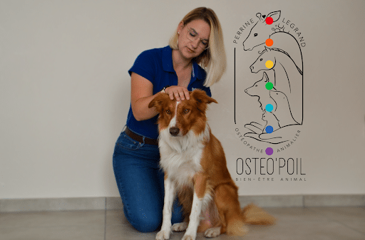 Bien-être animal par ostéopathie naturelle et douce