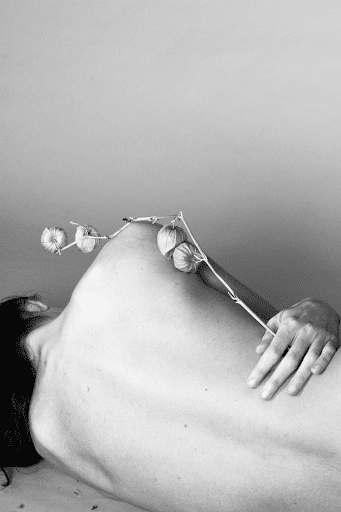 Renaissez avec nos massages Kobido et découvrez le bien-être ultime à chaque séance