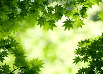 Libérer votre esprit pour un sport réussi