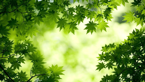 Libérer votre esprit pour un sport réussi