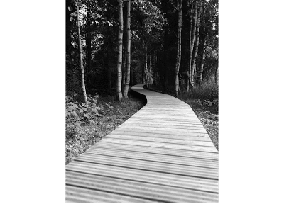 Libérez votre potentiel avec des sessions d'hypnothérapie transformantes et sereines.