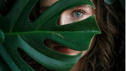 Bien-être total pour un corps et esprit apaisés