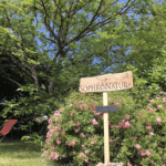 Stéphanie Schoonjans