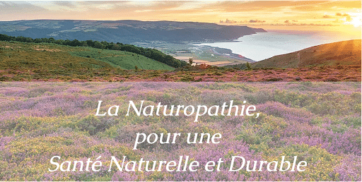 Harmonie intérieure par Naturopathie et Massothérapie pour un bien-être optimal