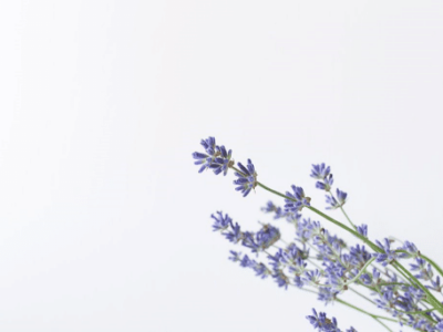 Bien-être et équilibre pour votre corps et esprit avec la naturopathie innovante