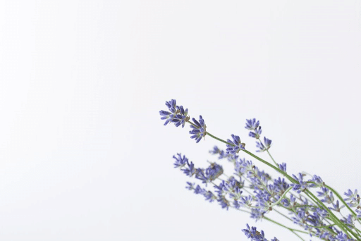 Bien-être et équilibre pour votre corps et esprit avec la naturopathie innovante