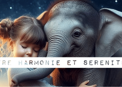Harmonie intérieure par la psychothérapie et le Reiki revitalisant expérience unique de bien-être