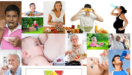 Équilibre alimentaire pour une vie énergique et saine. Transformez votre nutrition dès aujourd'hui.