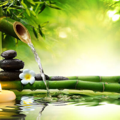 Francine Bréchemier