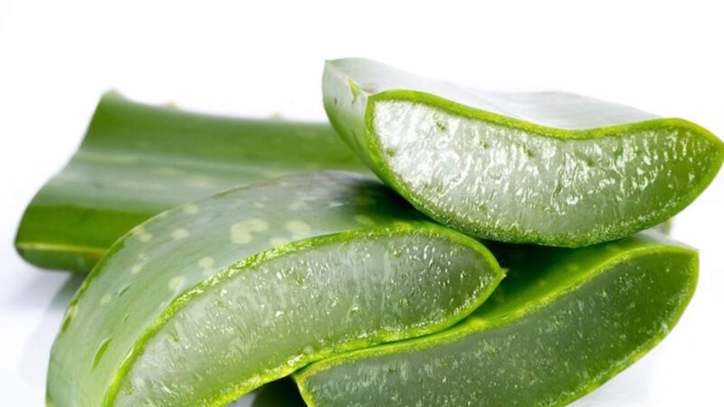 Aloe vera