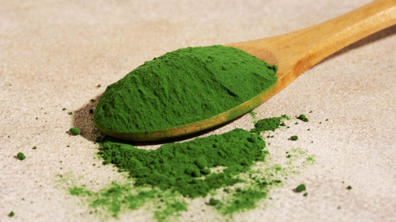 Chlorella