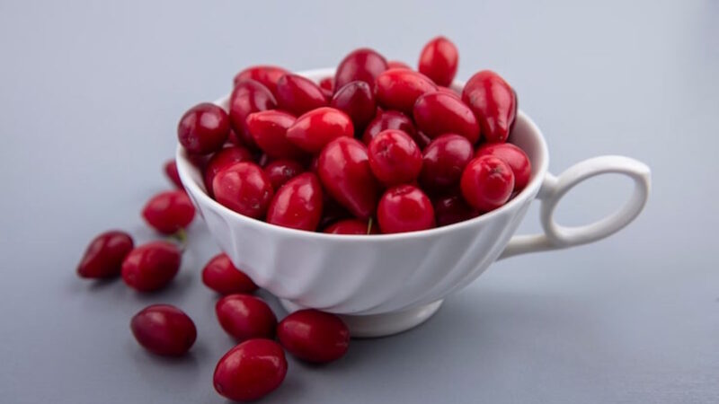 Découvrez la canneberge, alliée du confort urinaire et de la santé digestive. Bienfaits, posologies, précautions et usages au quotidien pour un bien-être naturel.