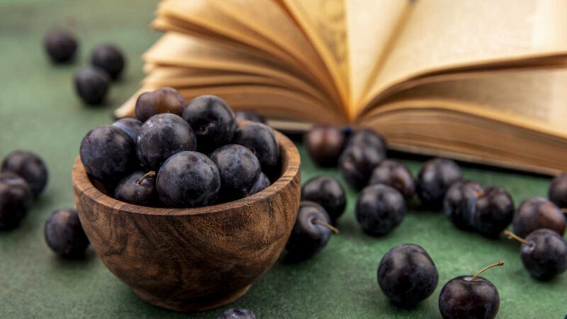 Des Genévrier dans un bocal près d'un livre