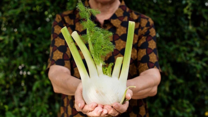 Une personne qui tient une fenouil