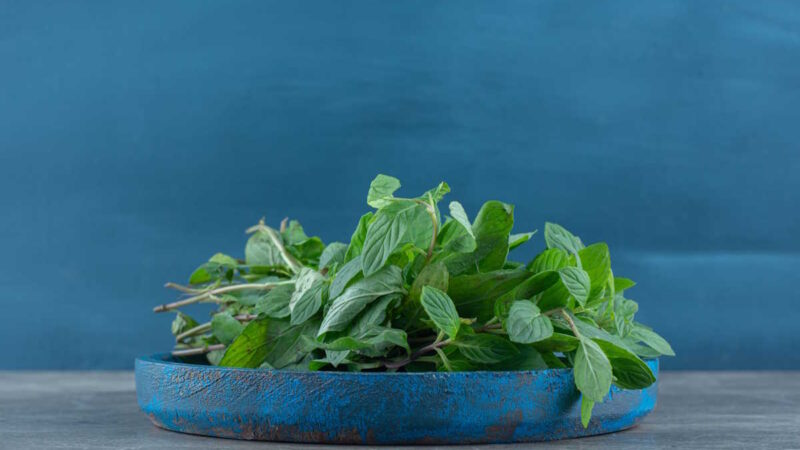 Des Menthes Poivrées sur une assiette