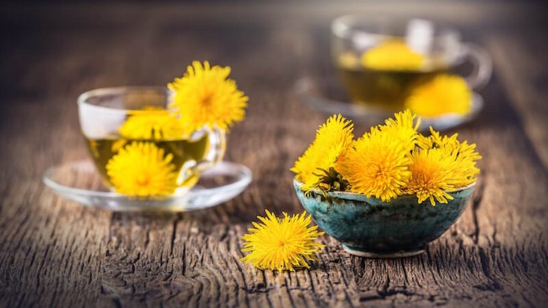 Des tisanes de pissenlits